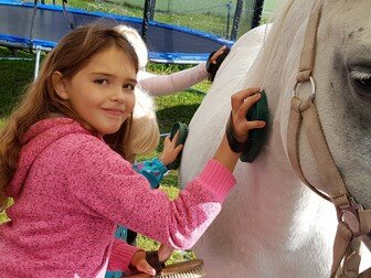 Ponyhof Work Shop Themen Tage 2018 Ponyhof Kaata Pferdewissen