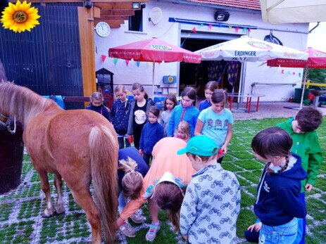 Horse Fan Workshop Prinzessinnen reiten