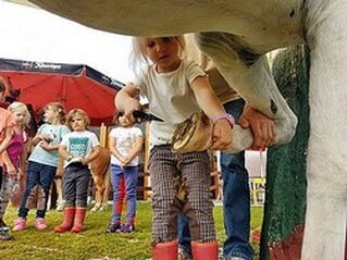 Ponyhoftag Ponyhoftag