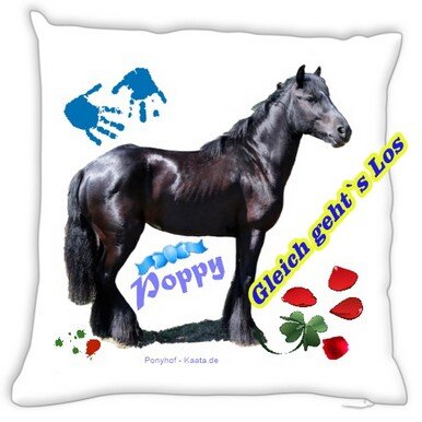 Pony Poppy Poppy